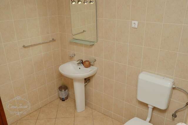 Гостевой дом Casa Iacob Брашов-21